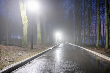 A woman walks late at night in a foggy park
