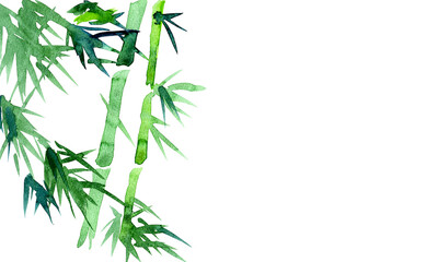 Naklejka premium 水彩の手描き素材。滲みが美しい竹の背景素材