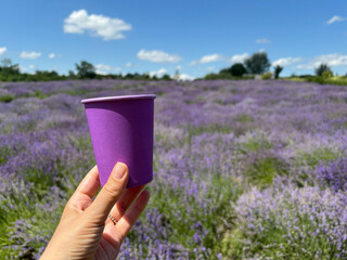 Lavender paper cup with coffee in woman hand. Time to drink coffee. Coffee to go. Enjoy the moment,...