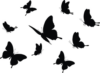 Silhouettes of multiple butterflies flying in various positions, black vector shapes on a white background, nature and freedom concept