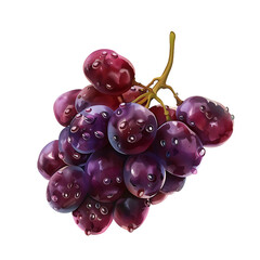 A cluster of ripe, purple grapes with water droplets glistening on their smooth surfaces.