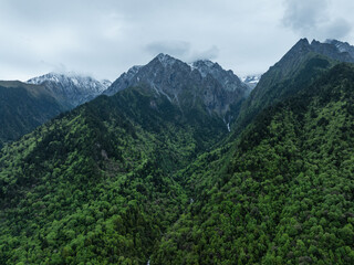 Aerial view of beautiful high altitude snow capped mountain and forest landscape