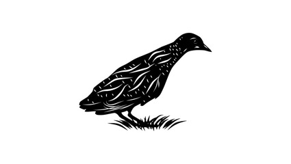 Swinhoe's Rail bird, black isolated silhouette