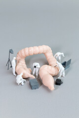 Tiny figures in hazmat suits examine a model of the human intestine