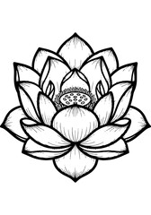 Elegant Black and White Lotus Flower Line Art Illustration, a Symbol of Purity and Serenity, Ideal for Asian or Japanese-Themed Designs