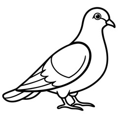 Dove line art vector