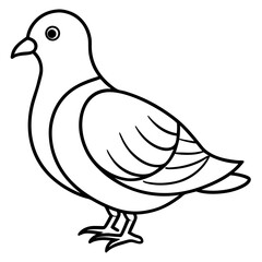 Dove line art vector