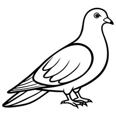 Dove line art vector