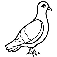 Dove line art vector
