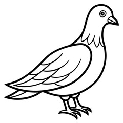 Dove line art vector