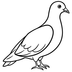Dove line art vector
