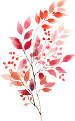 Watercolor autumn branch with vibrant leaves, pink magnolia flowers isolated on transparent background