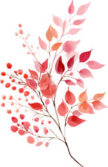 Watercolor illustration spring blossom flowers in soft pink and yellow soft pink Bougainvillea flower in nature. Vintage floral vector on transparent background.