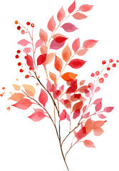 Watercolor illustration spring blossom flowers in soft pink and yellow soft pink Bougainvillea flower in nature. Vintage floral vector on transparent background.