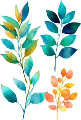 Flowers watercolor illustration. Manual, Watercolor floral illustration vector on transparent background.