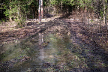 A dirt road through a forest with large muddy puddles in early spring