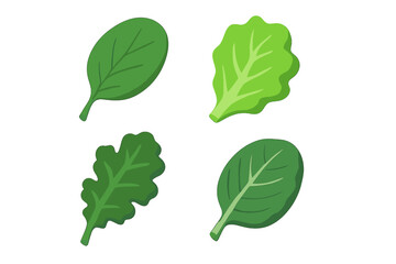 Isometric flat vector icon set of edible leafy greens isolated on transparent background&mdash;vibrant spinach leaf, lettuce leaf, kale leaf, collard green leaf, healthy vegan salad ingredients illustration