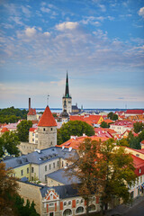 Obraz premium Scenic view of the old town in Tallinn, Estonia. Old Town of Tallinn preserved its Medieval origin, most of the buildings were built during 13-16 centuries.