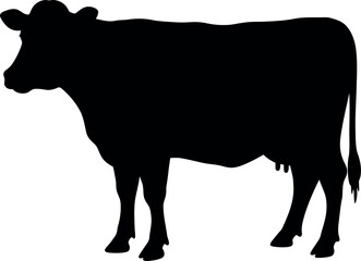 Black silhouette of a cow