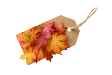 Autumn leaves on a gift tag isolated on transparent background
