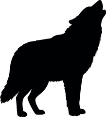 Obraz premium Howling wolf silhouette