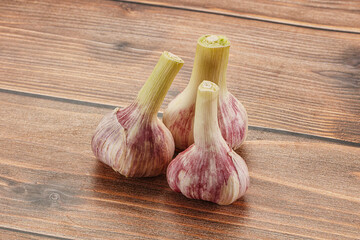 Young garlic heap for cooking