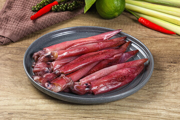 Raw fresh squids for cooking