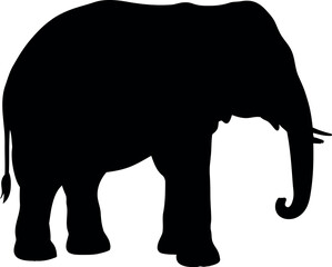 Black elephant silhouette isolated on white background