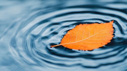 An orange autumn leaf floats gently on the surface of rippling water, creating peaceful circular waves.