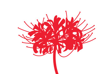 Higanbana Red spider lily