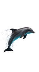 Ocean's Leap