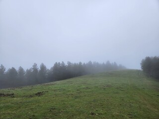 monta&ntilde;a en la niebla