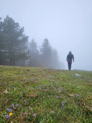 Monta&ntilde;ista en la niebla