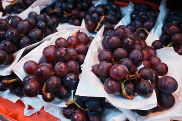 Grape - ぶどう 巨峰