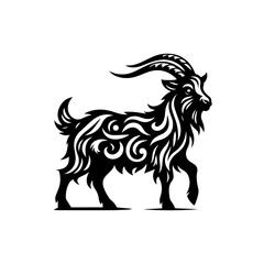 black and white horse