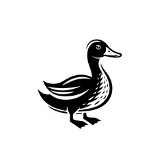 duck vector illustration