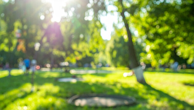 Blurred background of city park with green trees and sunlight. Modern design.