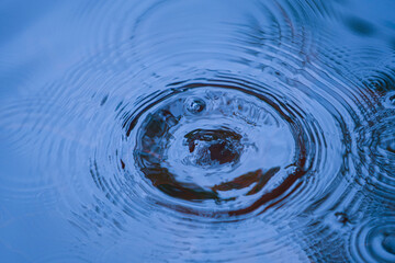 Raindrops falling on smooth surface of water. water droplets affect the surface.