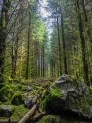 The Fairy Glen 
