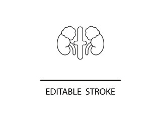 Simple editable stroke illustration of kidneys for medical designs and healthcare applications needing a clear anatomical symbol.