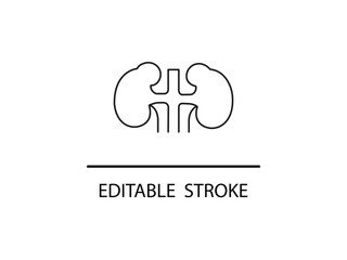 Simple editable stroke illustration of kidneys for medical designs and healthcare applications needing a clear anatomical symbol.