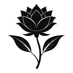 venus's looking glass silhouette-on-white