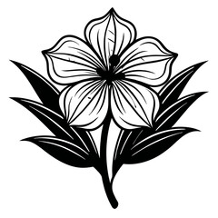  virginia spiderwort line art vector on white-background