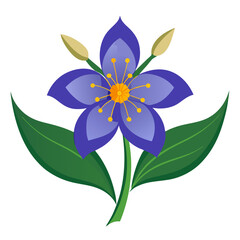  virginia spiderwort line art on white background