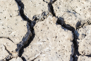 Dry cracked earth texture showing severe drought conditions