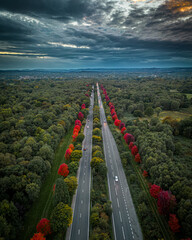 The Canadian Maple Memorial on the A3 at Liphook and Bramshott in Hampshire UK