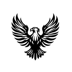 Fototapeta premium eagle with wings