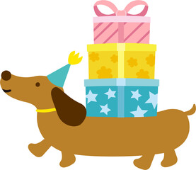 Dachshund dog carrying gift boxes at party