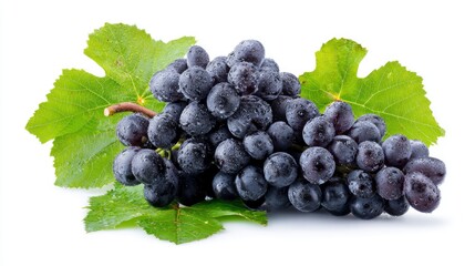 Fototapeta premium Black grape cluster with leaves isolated on white background. Clipping path. 