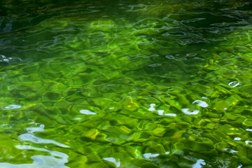 Close-up of the water of the pool in a public park. Clear water with reflection. Water reflection. Nature scene.